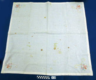 Table Cloth With 4 Napkins