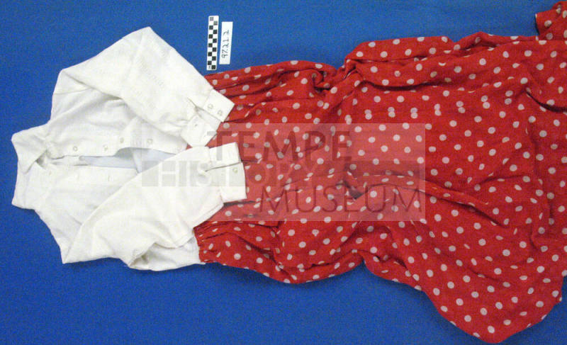 Bicentennial Dress