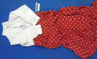 Bicentennial Dress