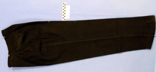 Coat Tail Suit Pants