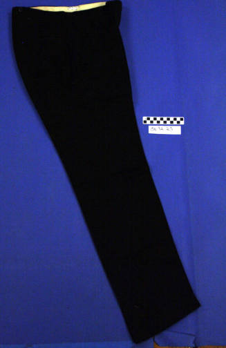 Coat Tail Suit Pants