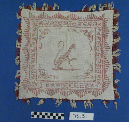 Pillow Cover