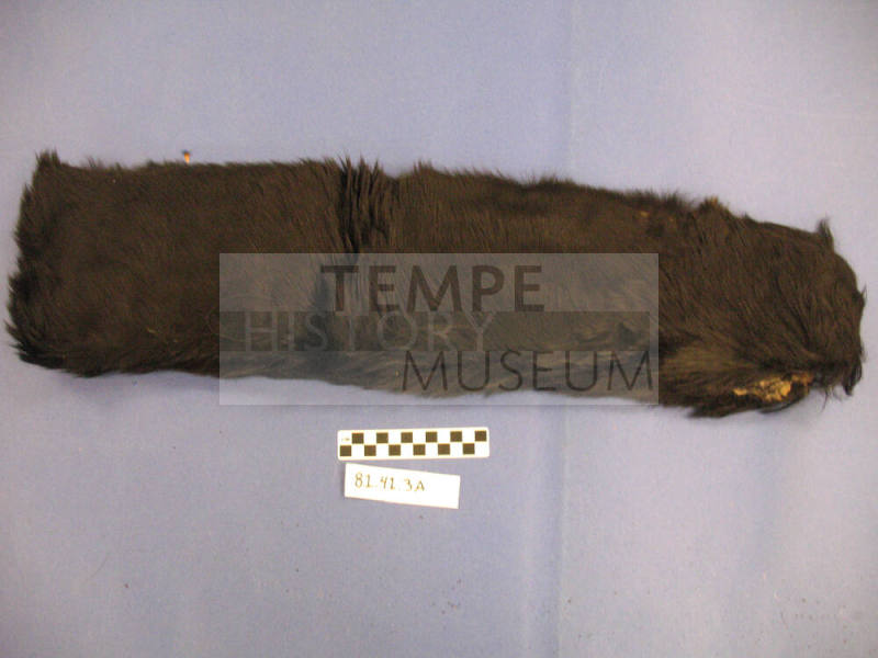 Black Fur Fragment