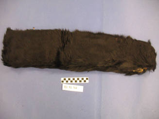 Black Fur Fragment