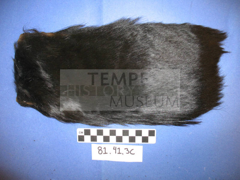 Black Fur Fragment