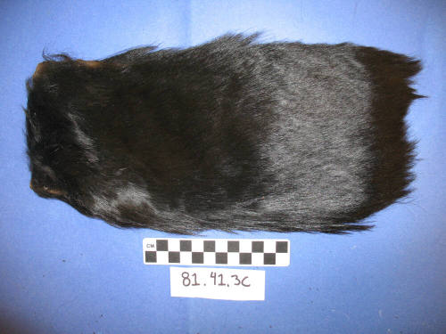Black Fur Fragment