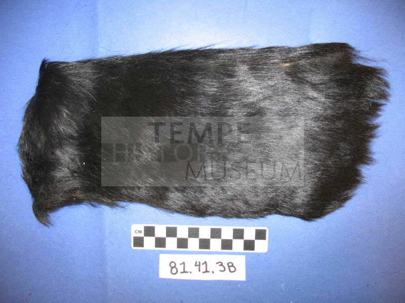 Black Fur Fragment