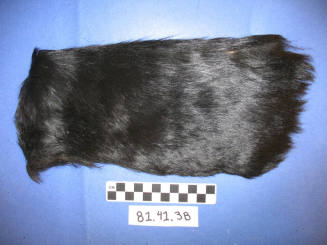 Black Fur Fragment