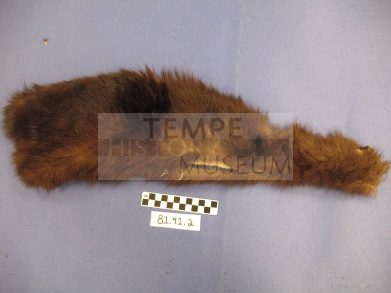 Brown Fur Fragment