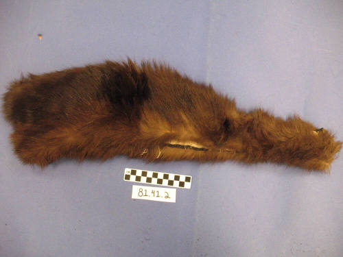 Brown Fur Fragment