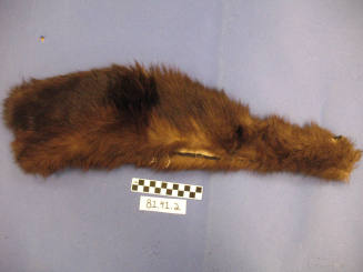 Brown Fur Fragment