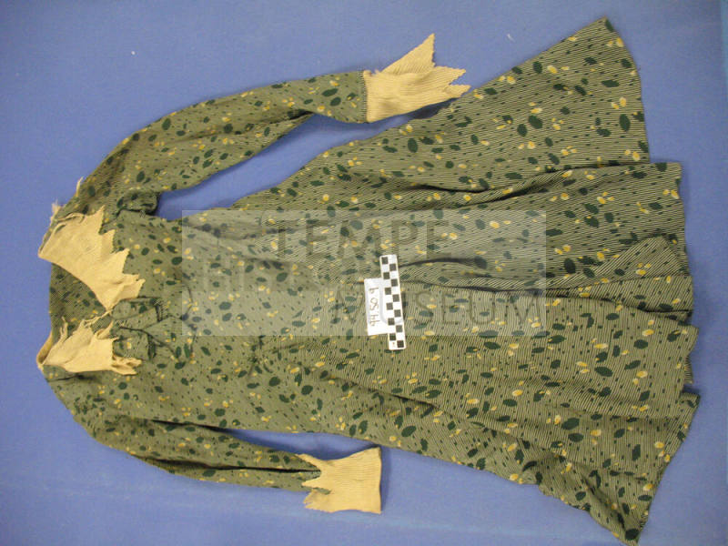 Dress. Green, white, yellow (Ruth)