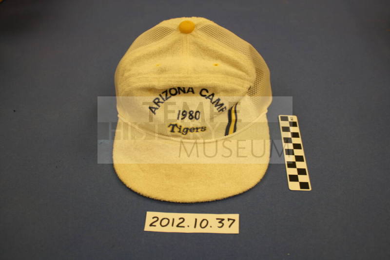 Tiger 1980 Baseball cap