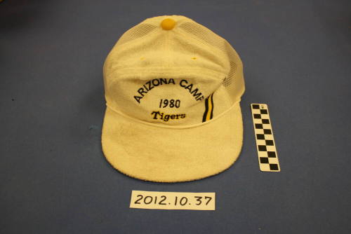 Tiger 1980 Baseball cap