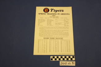 1981 Hanshin Tigers Information sheet and roster