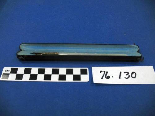 Fountain Pen with Mother of Pearl Handle