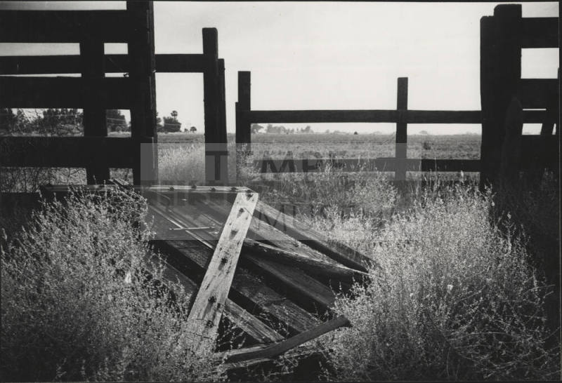 Old fence near Petersen House