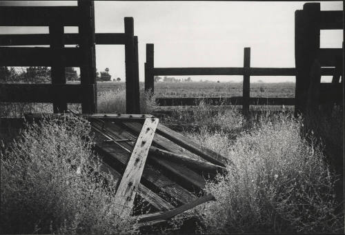 Old fence near Petersen House
