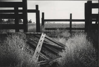 Old fence near Petersen House