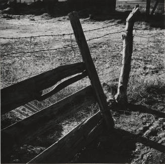 Barbed wire fence at Petersen House