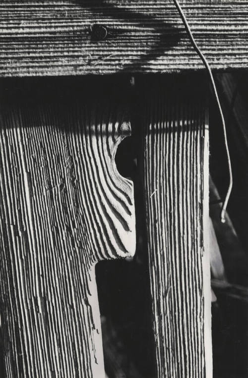 Closeup of Fence section near Petersen House