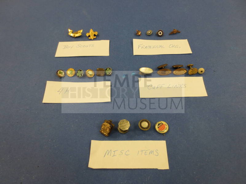 Pins, organizational