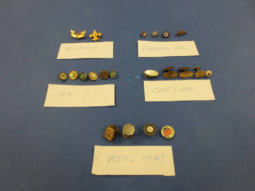 Pins, organizational