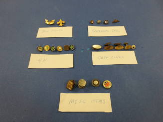Pins, organizational
