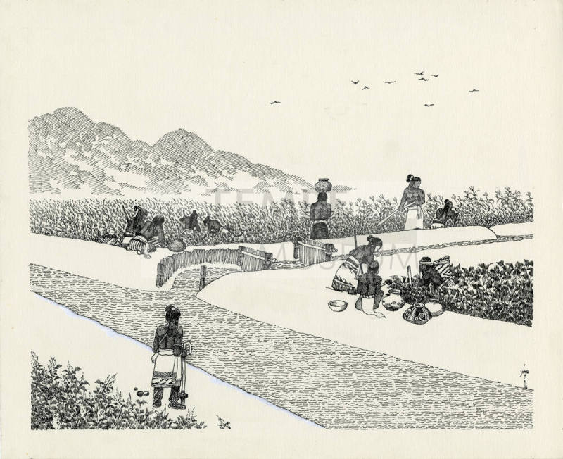 Indians Irrigating crops