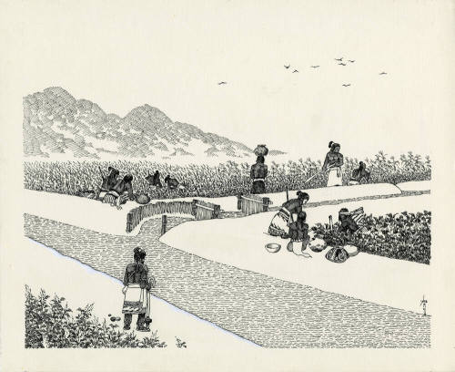 Indians Irrigating crops