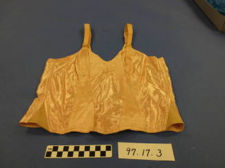 Brassiere