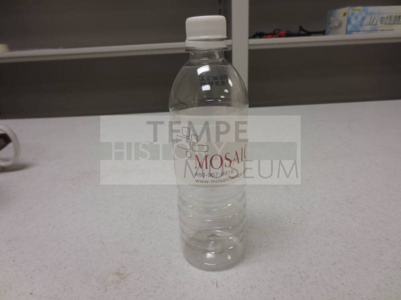 Mosaic Water Bottle