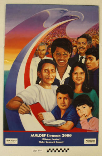 2000 Census Poster