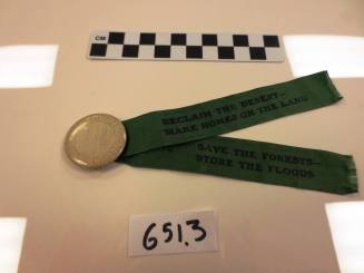 Badge and Ribbon