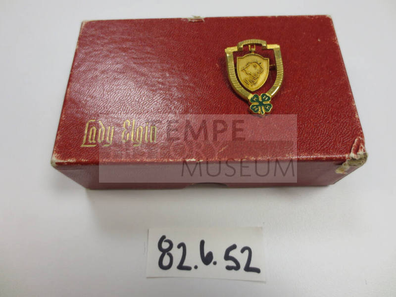 4-H pin