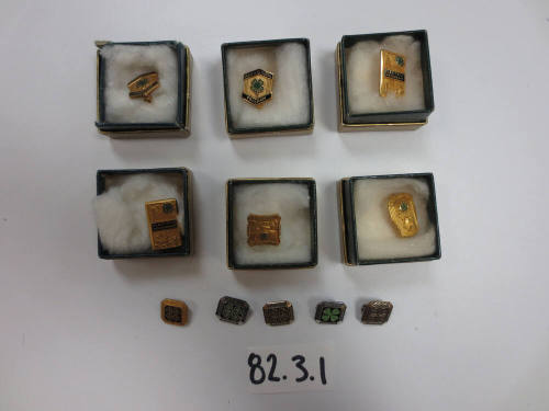 4-H pins