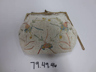 Evening Bag