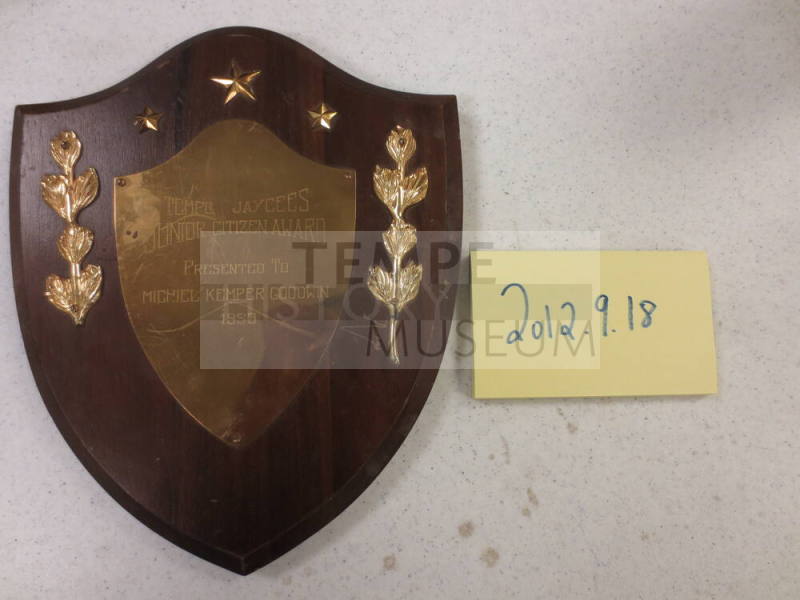 Michael Goodwin Citizen award
