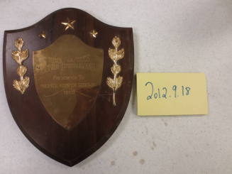 Michael Goodwin Citizen award