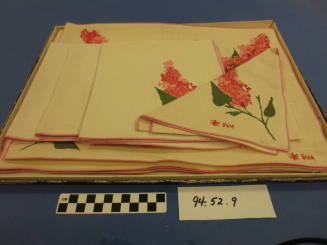 Placemats (4), Napkins (4), And Box