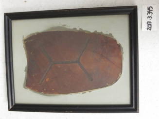 Leather Branded with the Hayden Brand