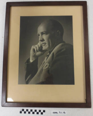 Portrait of Howard Pyle