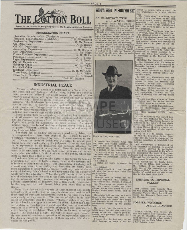 The Cotton Boll newsletter