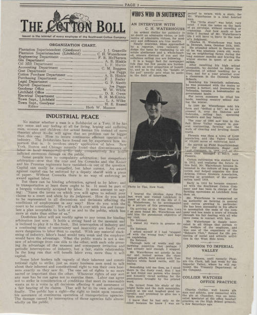 The Cotton Boll newsletter