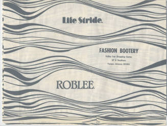Fashion Bootery bag