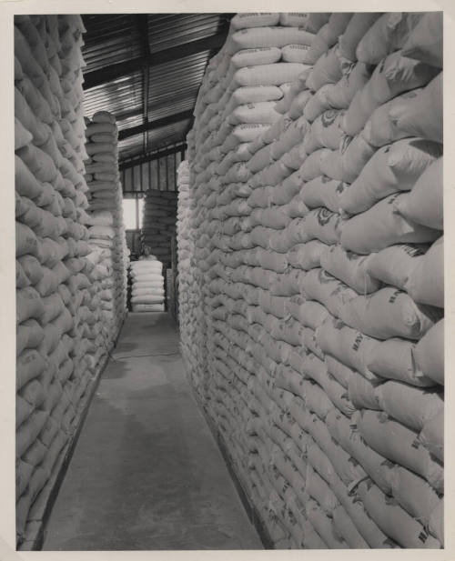 Stacks of Hayden Flour Bags
