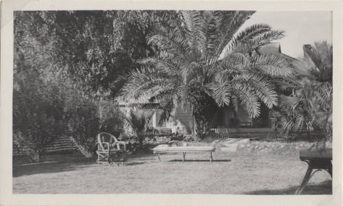 A Yard Outside a House