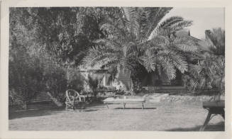 A Yard Outside a House