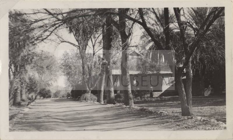 A small house amid large trees at the Hayden Ranch