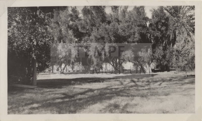 View of Hayden Ranch, landscaped grass and trees